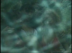 'Black Booty Cam' screenshot nº 132