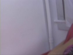 Captura de 'Top Ten Big Dick Submissions' nº 115