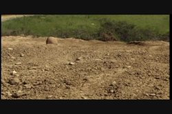 'Wired For Sex' screenshot nº 119