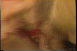 Captura de 'Golden Age of Porn, The: Nina Hartley' nº 129