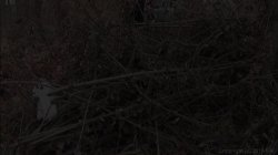 'Games Of Perversion 3: Strange Games' screenshot nº 55