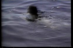 'Licking Lips' screenshot nº 72