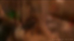 Captura de 'Best Black Ice Parodies, The' nº 42