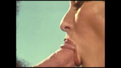 'Swedish Erotica 313 - Water Sport' screenshot nº 20