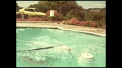 'Swedish Erotica 313 - Water Sport' screenshot nº 5