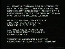 Captura de 'Transsexual Gang Bangers 5' nº 6