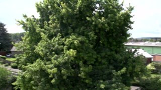 Meine Geile Nachbarin 10 - Cena4 - 1