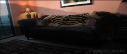 'Lesbian Mature Women 21' screenshot nº 4