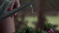 Captura de 'Afternoon Seduction' nº 132