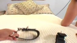 Captura de 'American Pornstar' nº 46