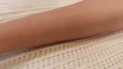 Captura de 'American Pornstar' nº 51