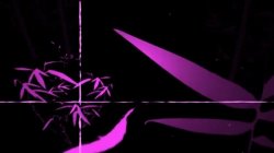 Captura de 'American Pornstar' nº 82