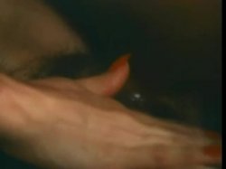 'Photoflesh' screenshot nº 42