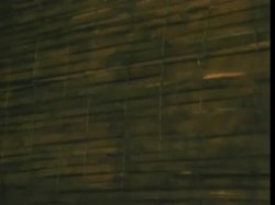 'Photoflesh' screenshot nº 79