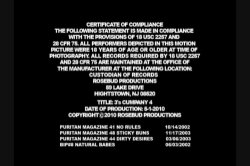 '3's Cumpany #4' screenshot nº 1