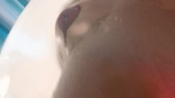 Captura de 'SeXXXploitation Of Leya Falcon AKA Whorley Quinn' nº 126