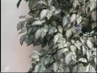 Erotic Pussy - Scene11 - 5