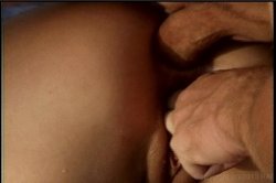 'Porking With Pride' screenshot nº 15
