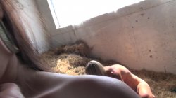 Captura de 'Anal Sex with a Stranger (French)' nº 39