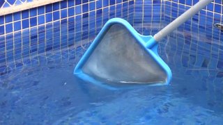 TS Ass-Initiations 6 - Scena2 - 1