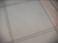 'Teeny Splash #8' screenshot nº 30