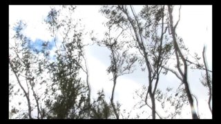 Post Apocalyptic Cowgirls - Scene2 - 6