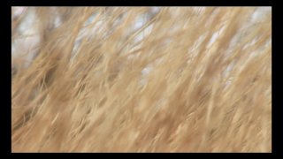 Post Apocalyptic Cowgirls - Scene3 - 3