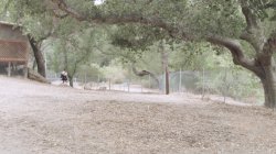 Captura de 'Bad Reputation' nº 1