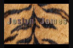 Captura de 'Joslyn James: Tiger Tamer 2' nº 4