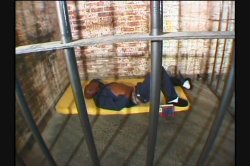 Captura de 'White Sluts Black Nuts 5' nº 109