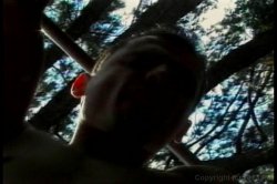 Captura de 'Young Tender Trannies 10' nº 48