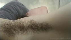 'Damn, You're Hairy! 2' screenshot nº 72