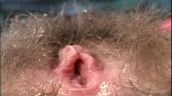 'Damn, You're Hairy! 2' screenshot nº 106