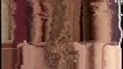 'Cougar Sex Club 2' screenshot nº 22
