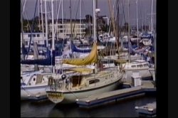 'This Isn't Gilligan's Island' screenshot nº 6