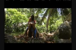 'Coconut Holiday' screenshot nº 35
