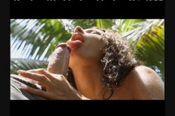 'Coconut Holiday' screenshot nº 41