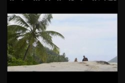 'Coconut Holiday' screenshot nº 63