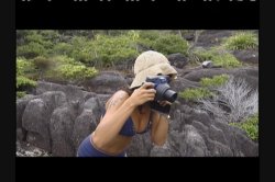 'Coconut Holiday' screenshot nº 131