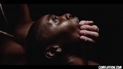 'Cumflation - Zaawaadi' screenshot nº 12