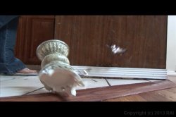 Captura de 'White Wife Black Cock 6' nº 22
