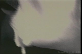 She Swallows #8 - Scene12 - 1