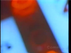 Captura de 'Cecil Howard's The Last X-Rated Movie 2' nº 14