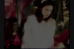'Soloerotica 6' screenshot nº 3