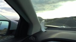 'Hardcore Exotic POV' screenshot nº 83