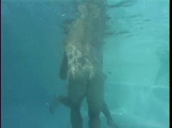 Captura de 'Gia's Pool Party' nº 52