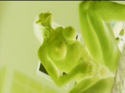Captura de 'Busty Beauties #23' nº 2