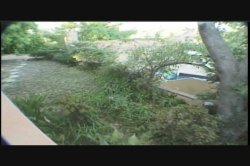 Captura de 'Video Adventures of Peeping Tom 16' nº 47