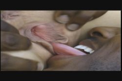 Captura de 'Video Adventures of Peeping Tom 16' nº 104