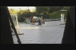 Captura de 'Video Adventures of Peeping Tom 16' nº 123